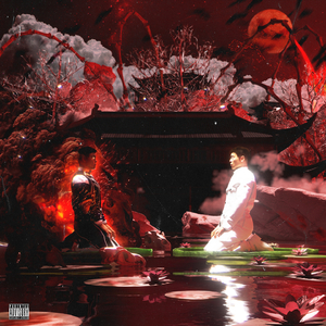 成年女人毛片免费观看不卡
