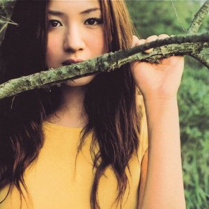 成年女人毛片免费观看不卡
