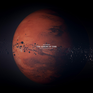 成年女人毛片免费观看不卡
