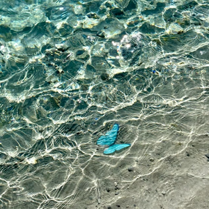 成年女人毛片免费观看不卡
