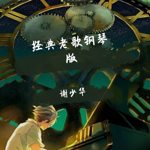 成年女人毛片免费观看不卡
